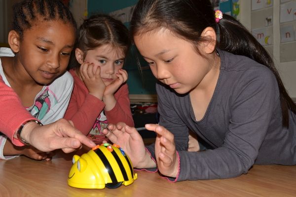 Bee-bot programmeren